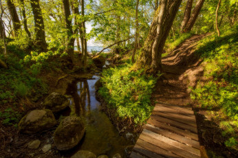 Картинка природа реки озера простор