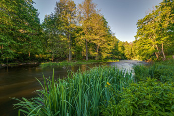 Картинка природа реки озера простор