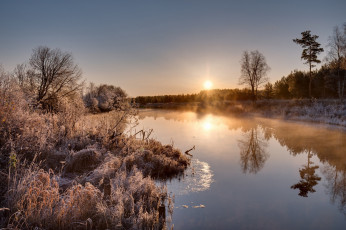 Картинка природа реки озера простор