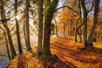 Картинка природа дороги простор