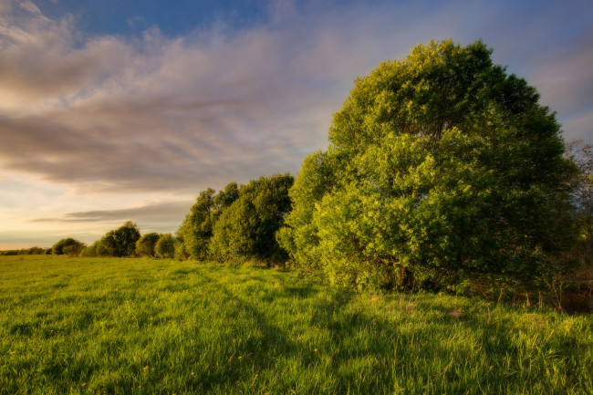 Обои картинки фото природа, поля, простор