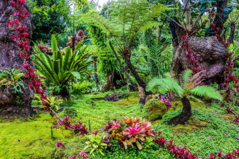 Картинка thailand природа парк