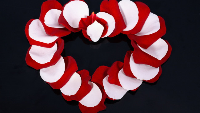 Обои картинки фото праздничные, день святого валентина,  сердечки,  любовь, лепестки, сердечко