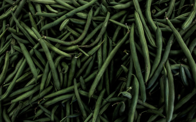 Обои картинки фото еда, бобовые, спаржевая, фасоль