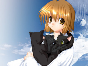 Картинка аниме *unknown другое