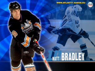 Картинка спорт nhl