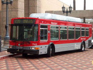 Картинка автомобили автобусы