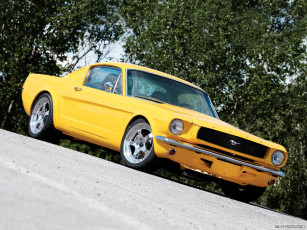 Картинка автомобили ford