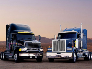 Картинка автомобили разные вместе