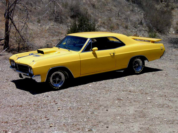 Обои картинки фото автомобили, buick