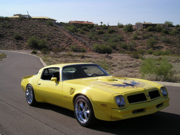 Обои картинки фото автомобили, pontiac