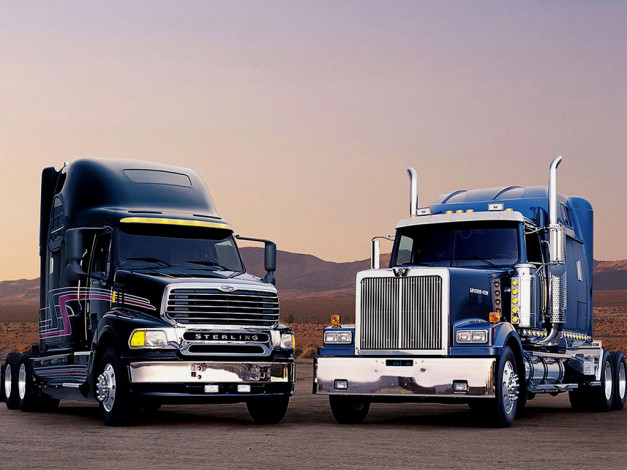 Обои картинки фото автомобили, разные, вместе