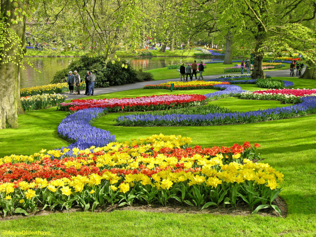 Обои картинки фото природа