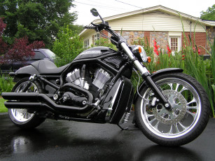 Картинка мотоциклы harley davidson