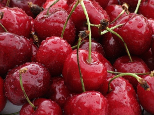 Картинка Ёжичик *** еда вишня черешня