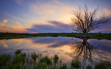 Картинка природа реки озера