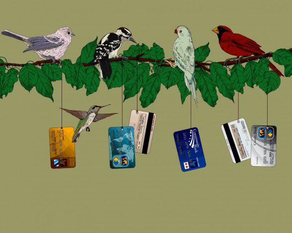 Обои картинки фото разное, другое