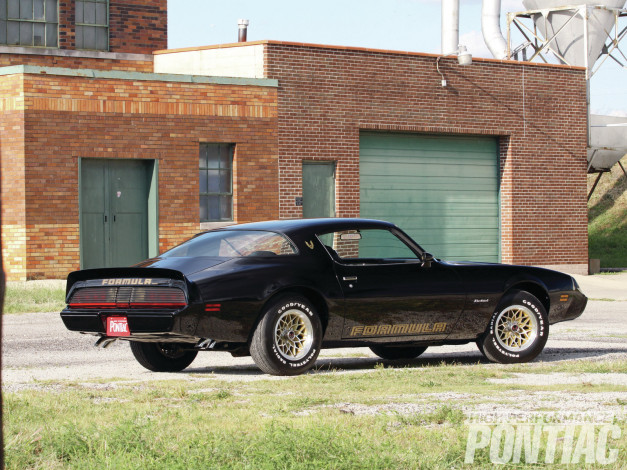 Обои картинки фото автомобили, pontiac, firebird