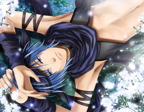 Картинка аниме vocaloid взгляд цветы парень kaito вокалоид