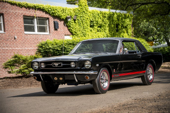 Картинка ford+mustang автомобили mustang выставка автошоу автопробег