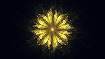 Картинка 3д+графика цветы+ flowers узор фон цвета