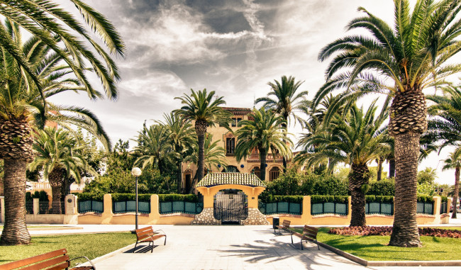 Обои картинки фото города, - улицы,  площади,  набережные, город, пальмы, дома, улица