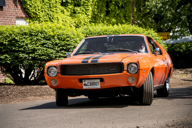 Обои картинки фото amc amx, автомобили, amc, выставка, автошоу, автопробег