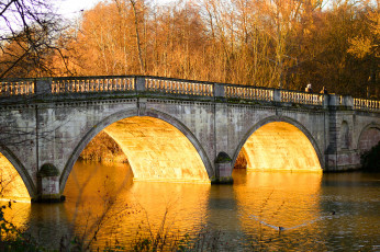 Картинка города -+мосты деревья река мост