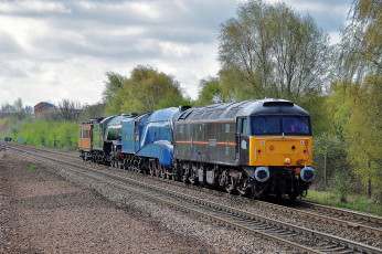 Картинка техника поезда рельсы локомотив состав дорога железная