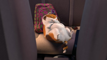 Картинка мультфильмы home кот