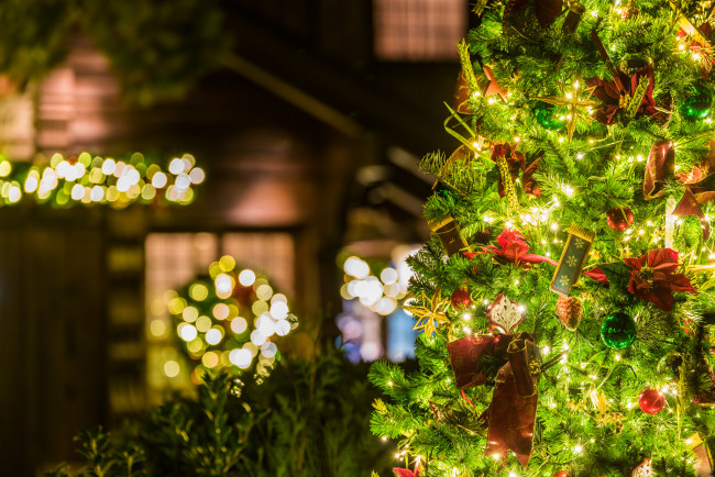 Обои картинки фото праздничные, Ёлки, украшения, праздник, рождество, ёлка