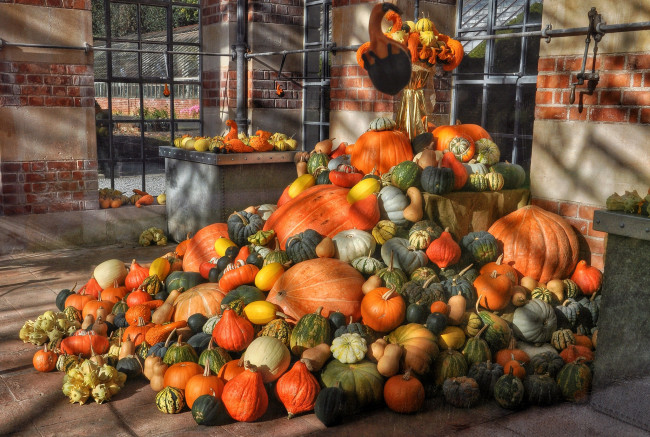 Обои картинки фото еда, тыква, урожай