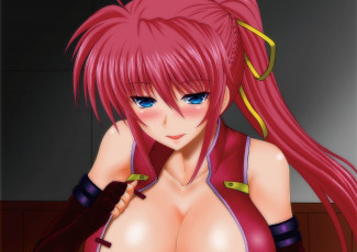 Картинка аниме mahou+shoujo+lyrical+nanoha девушка