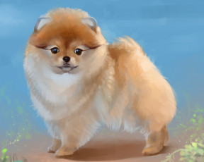 Картинка рисованное животные +собаки карликовый шпиц собака by salamandra-s