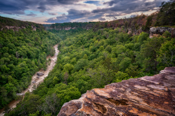 Картинка природа пейзажи река лес