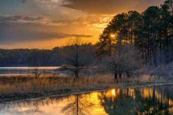 Картинка природа реки озера лес река