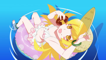 Картинка аниме bakemonogatari взгляд девушка фон