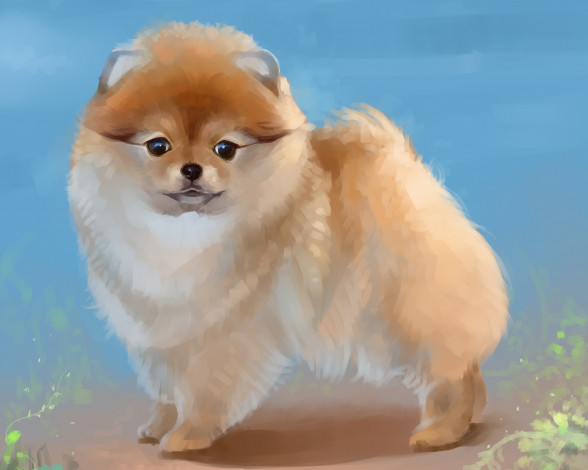 Обои картинки фото рисованное, животные,  собаки, карликовый, шпиц, собака, by, salamandra-s