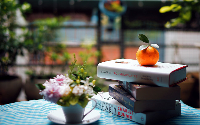 Обои картинки фото разное, канцелярия,  книги, книги, мандарин