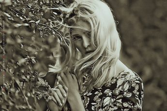 Картинка календари компьютерный+дизайн листья ветер девушка взгляд ветки