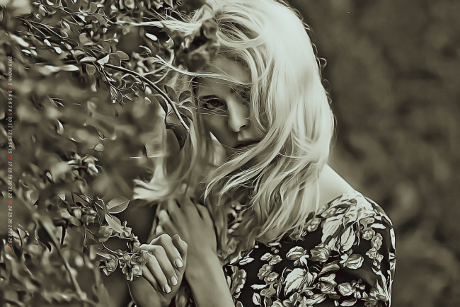 Обои картинки фото календари, компьютерный дизайн, листья, ветер, девушка, взгляд, ветки