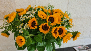 Картинка цветы букеты +композиции ромашки мелкие букет подсолнухи