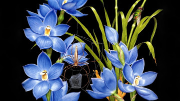 Картинка 295584 рисованное цветы