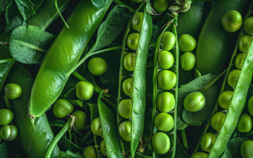обоя еда, бобовые, стручки, горошек, зеленый, макро