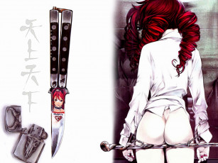 Картинка аниме tenjou tenge