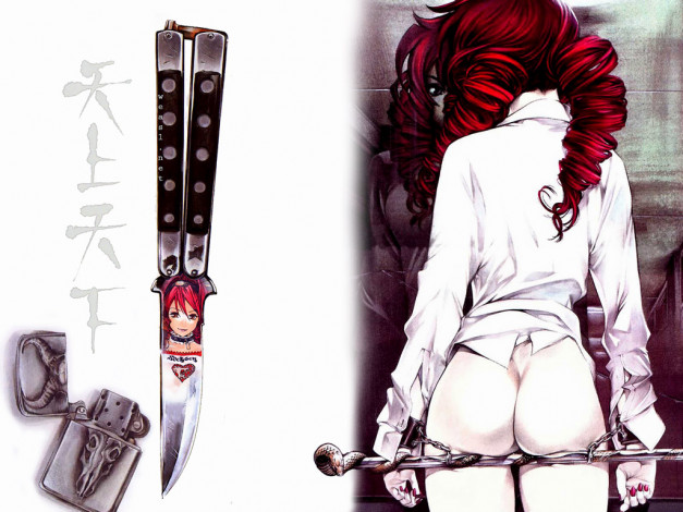 Обои картинки фото аниме, tenjou, tenge