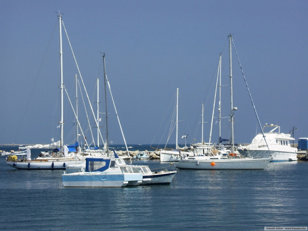 Обои картинки фото корабли, разные, вместе