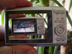 Картинка разное другое