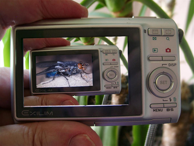 Обои картинки фото разное, другое