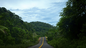 Картинка природа дороги лес